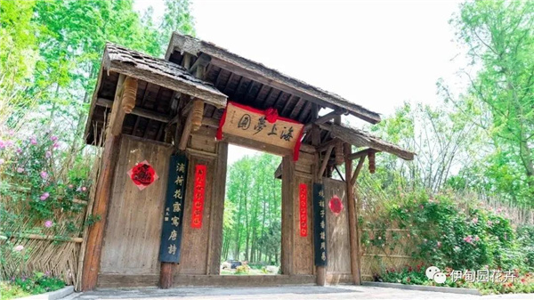 上海｜親自體驗(yàn)中國花卉界的“奧林匹克”盛宴！