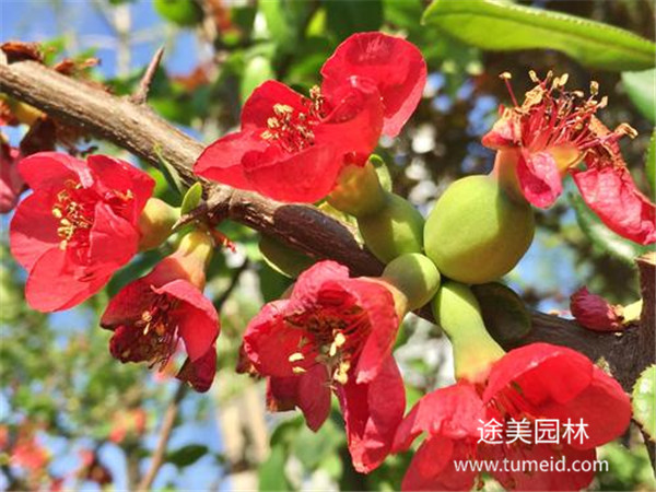 http://www.yzwywh.cn/ch/30.html